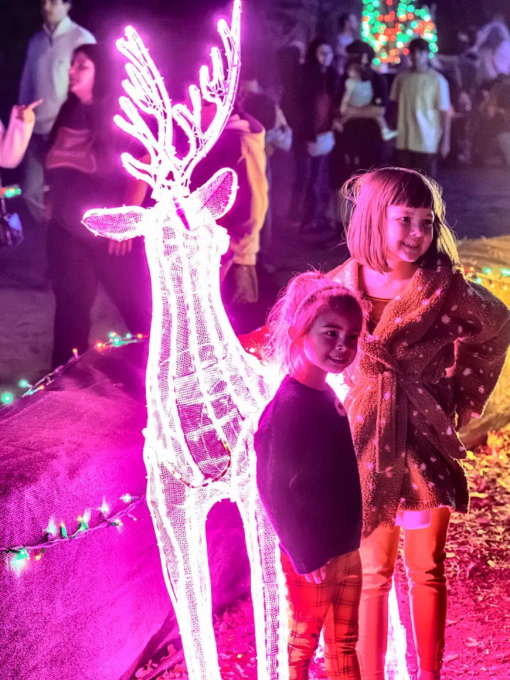 A girl posing with light-up reindeer
